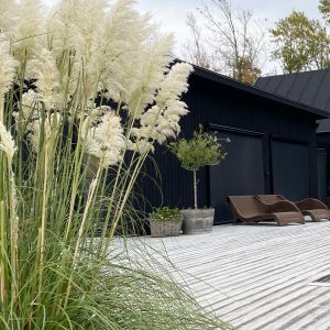 Fönstermarkis: Erik